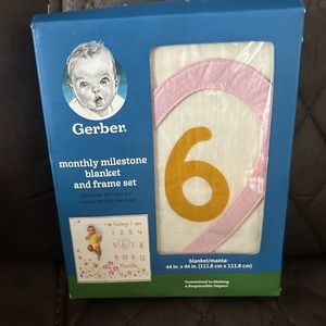 Baby girl monthly milestone blanket